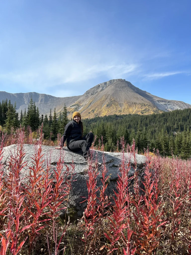 blackbird team rachel bianchi 2